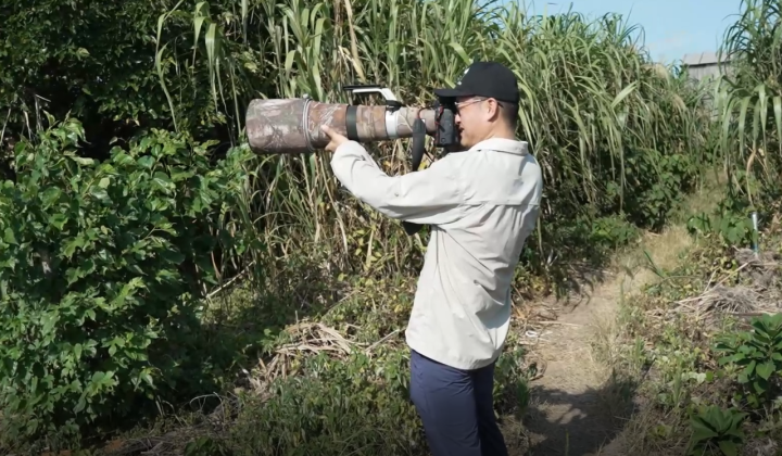Life in Zhejiang | Ten years on, the 'Mythical Bird' and its guardians