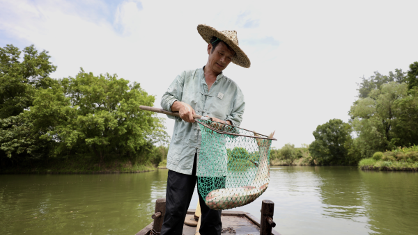 The transition of Xixi Wetland in the eye of a fisherman