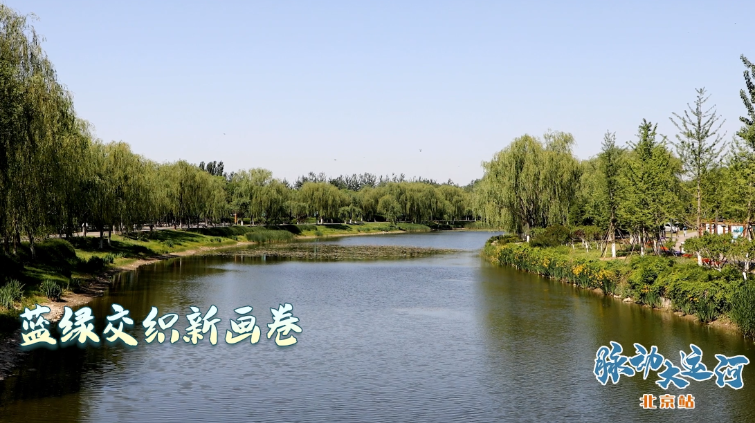 Rhythms of Grand Canal丨The new ecological blue print