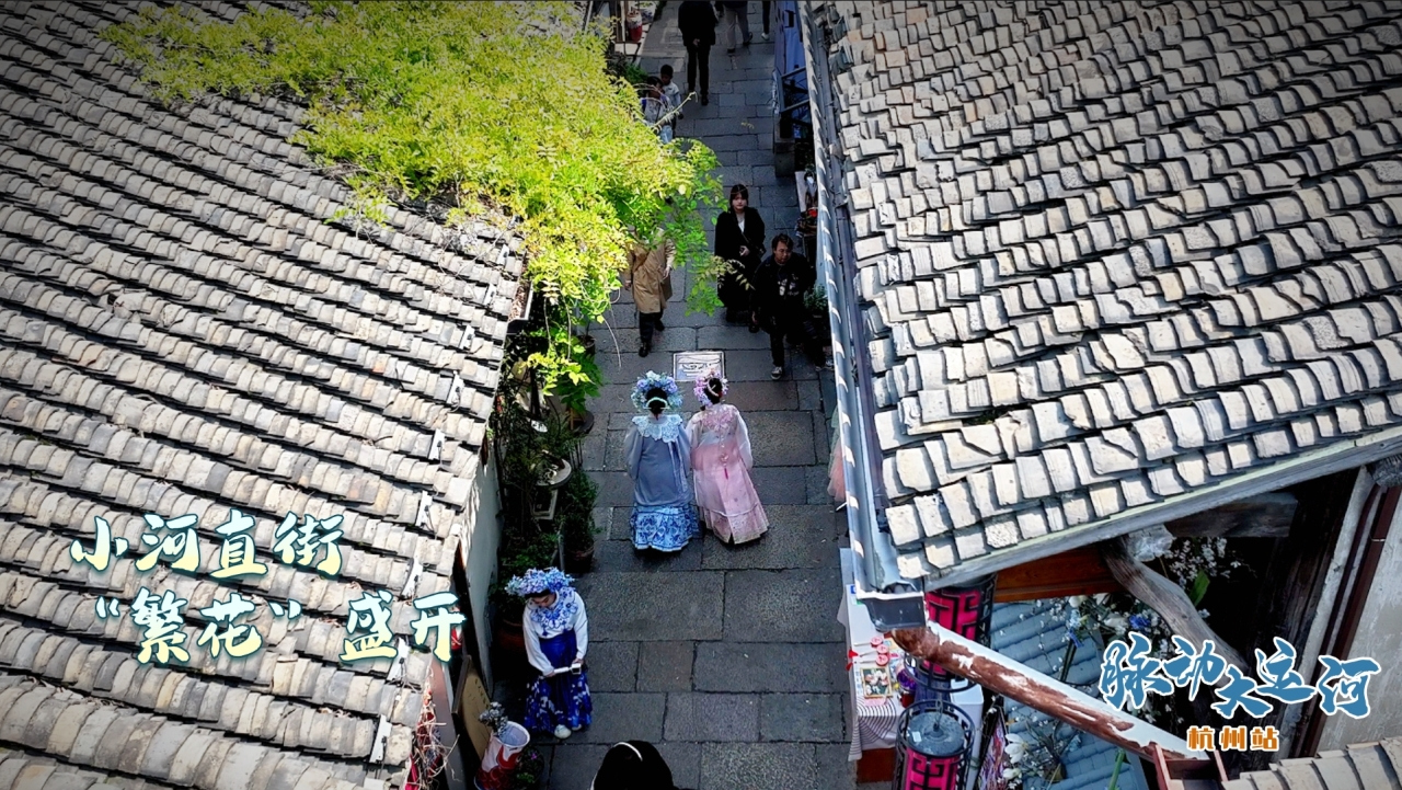 Rhythms of Grand Canal丨Prosperity along canal bank