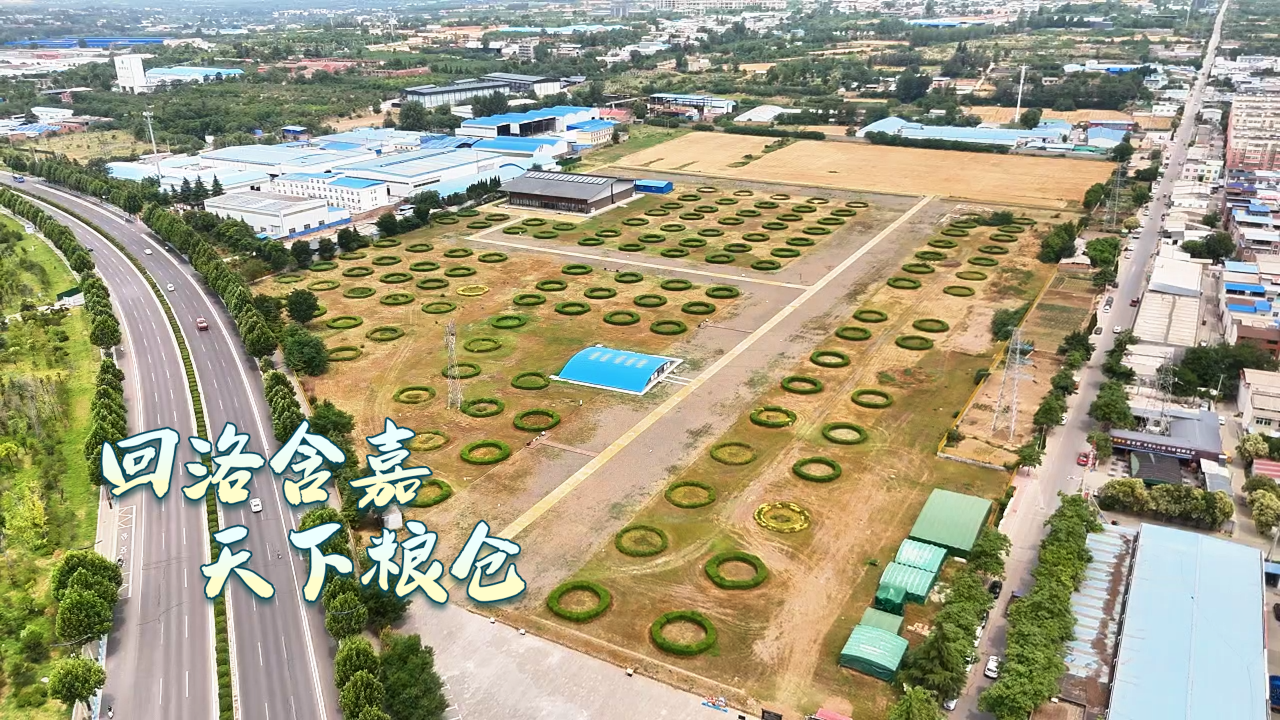 Rhythms of Grand Canal丨The granaries of the world