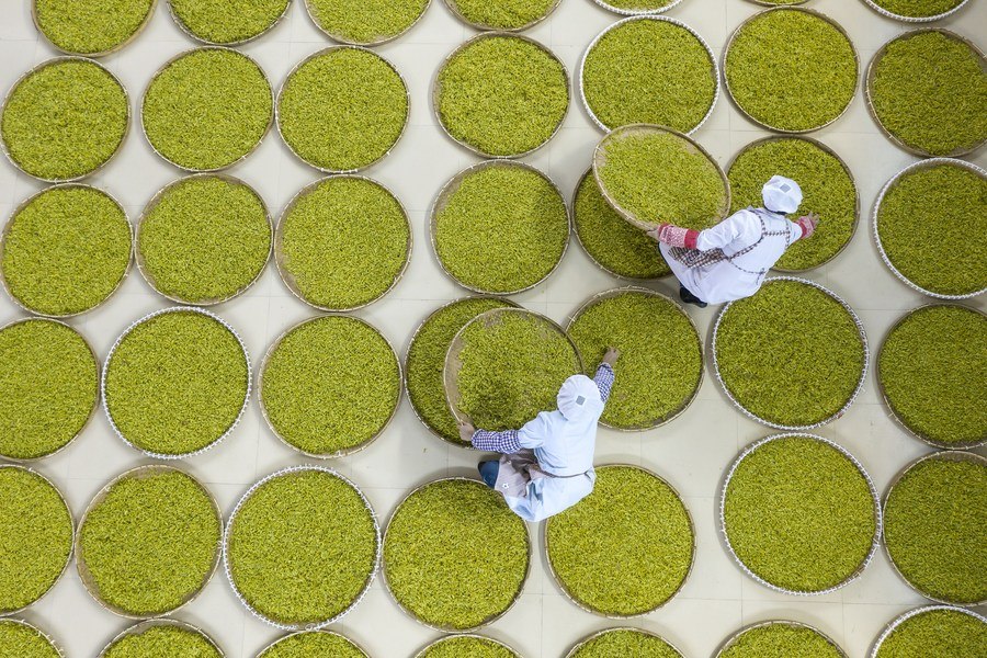 Digital Reform | Zhejiang highlights promoting rural vitalization with digital reform