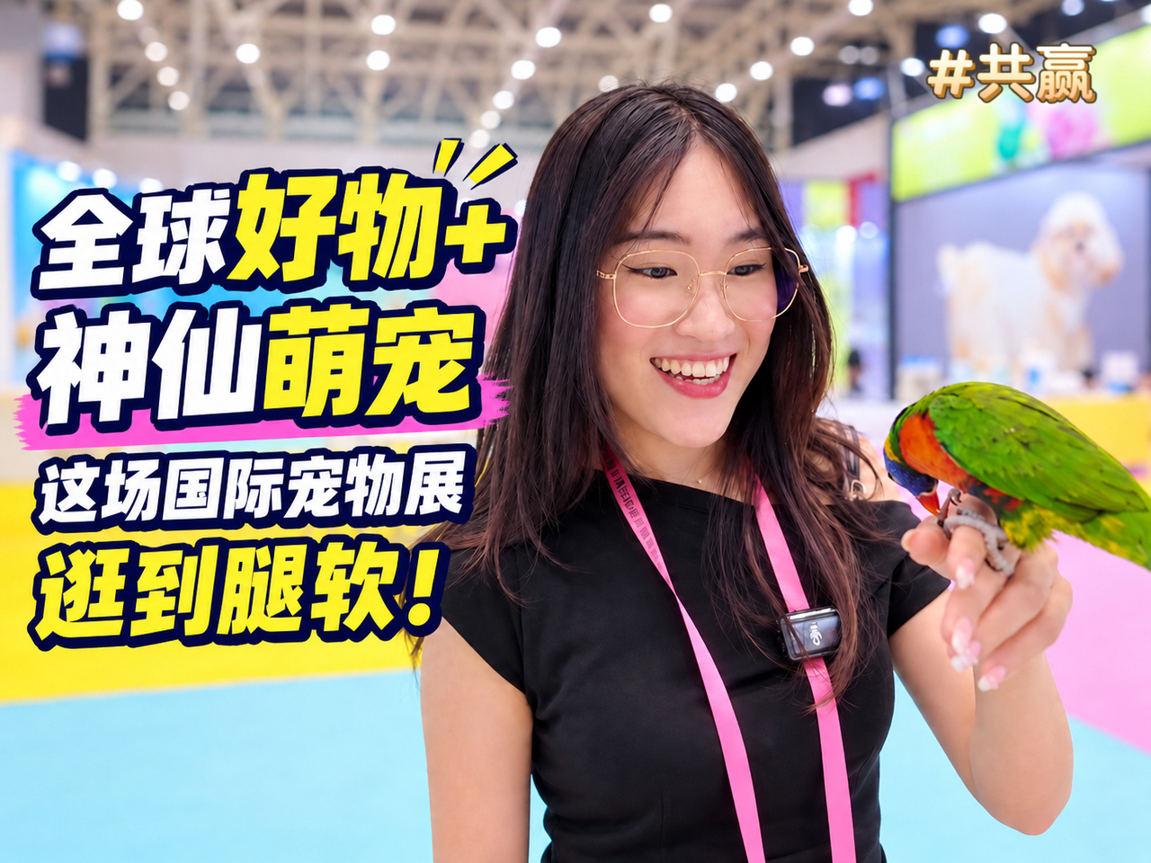 Explore pet products at Shaoxing International Pet Supplies Expo