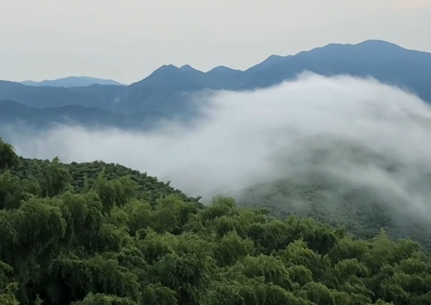 Cloud sea at Luniao Mountain in Hangzhou