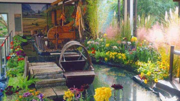 Zhejiang Highlights | 2nd Yangtze River Delta Chrysanthemum Exhibition to kick off soon