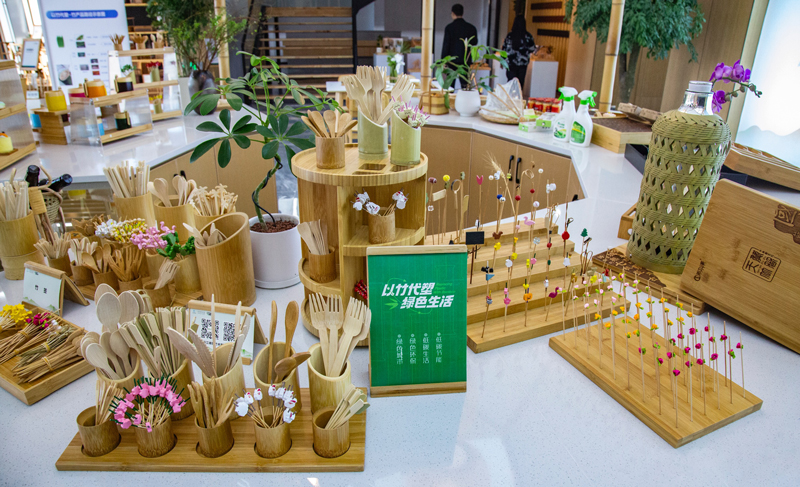 五个故事打开浙江的“两山”密码