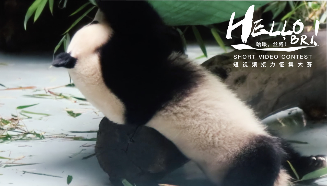 Hello, BRI | Some panda elements in Chengdu