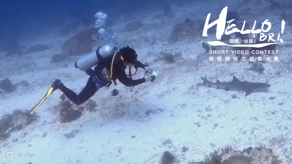 Hello, BRI | The undersea world