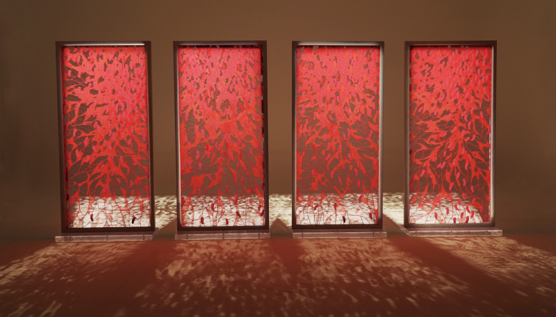 Taizhou Embroidery: Integrating past and present