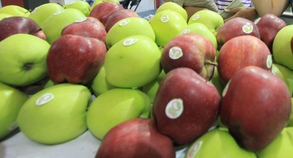 Ningbo citizens must have heard of Poland apple