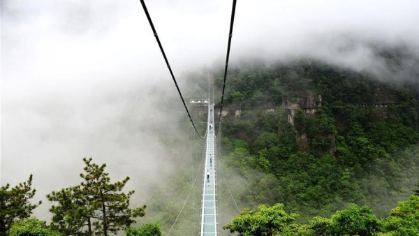 ZJ Snapshot: View of glass bridge at Lingjiangyuan Forest Park in  Pan'an County