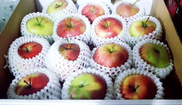 Polish apples become sought-after in Ningbo