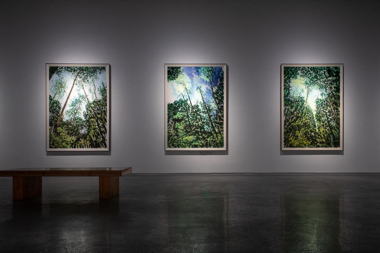 许江个展: 向阳而问，仰山以答