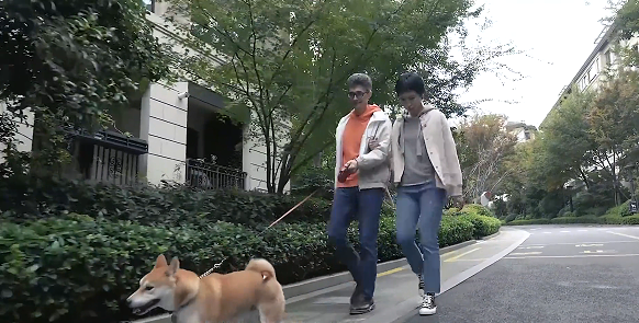 爱喝茶的法国人