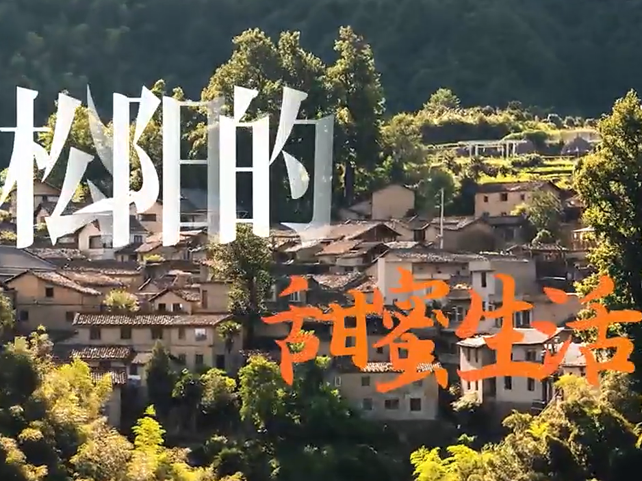 从红糖工坊到甜蜜事业 松阳非遗的“活态”新生